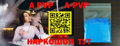 гашик Кингисепп