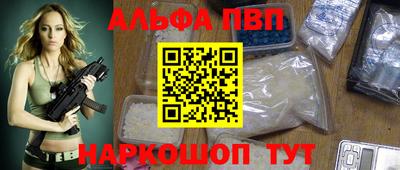 гашик Кингисепп