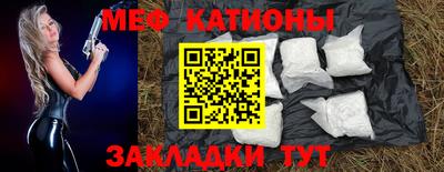 гашик Кингисепп