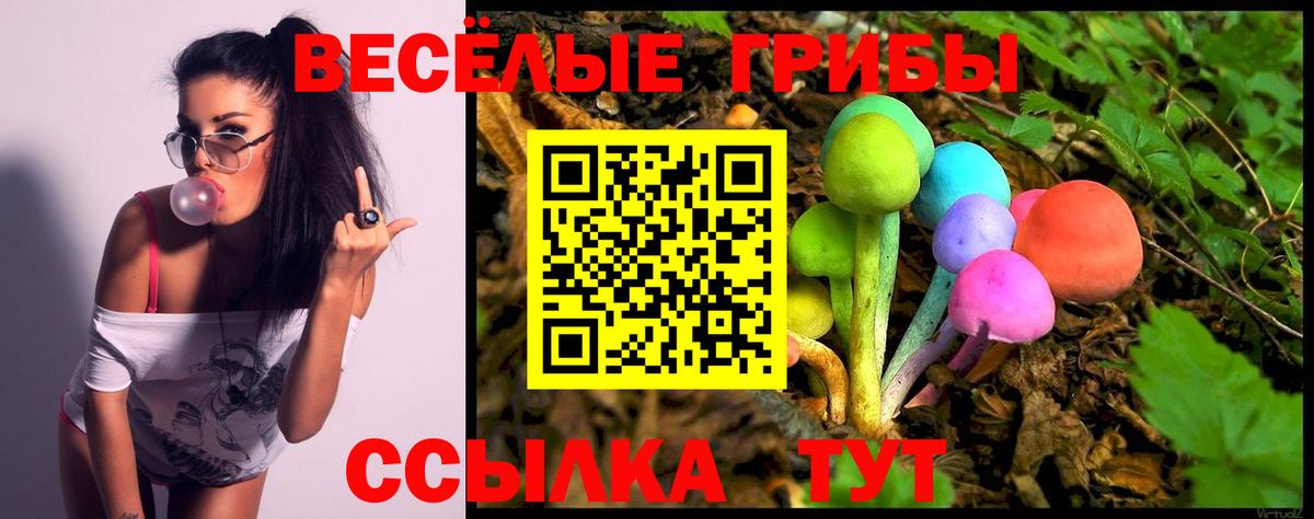 купить  цена  Вход с VPN  Красный Сулин  Галлюциногенные грибы Cubensis  Галлюциногенные грибы мухоморы 